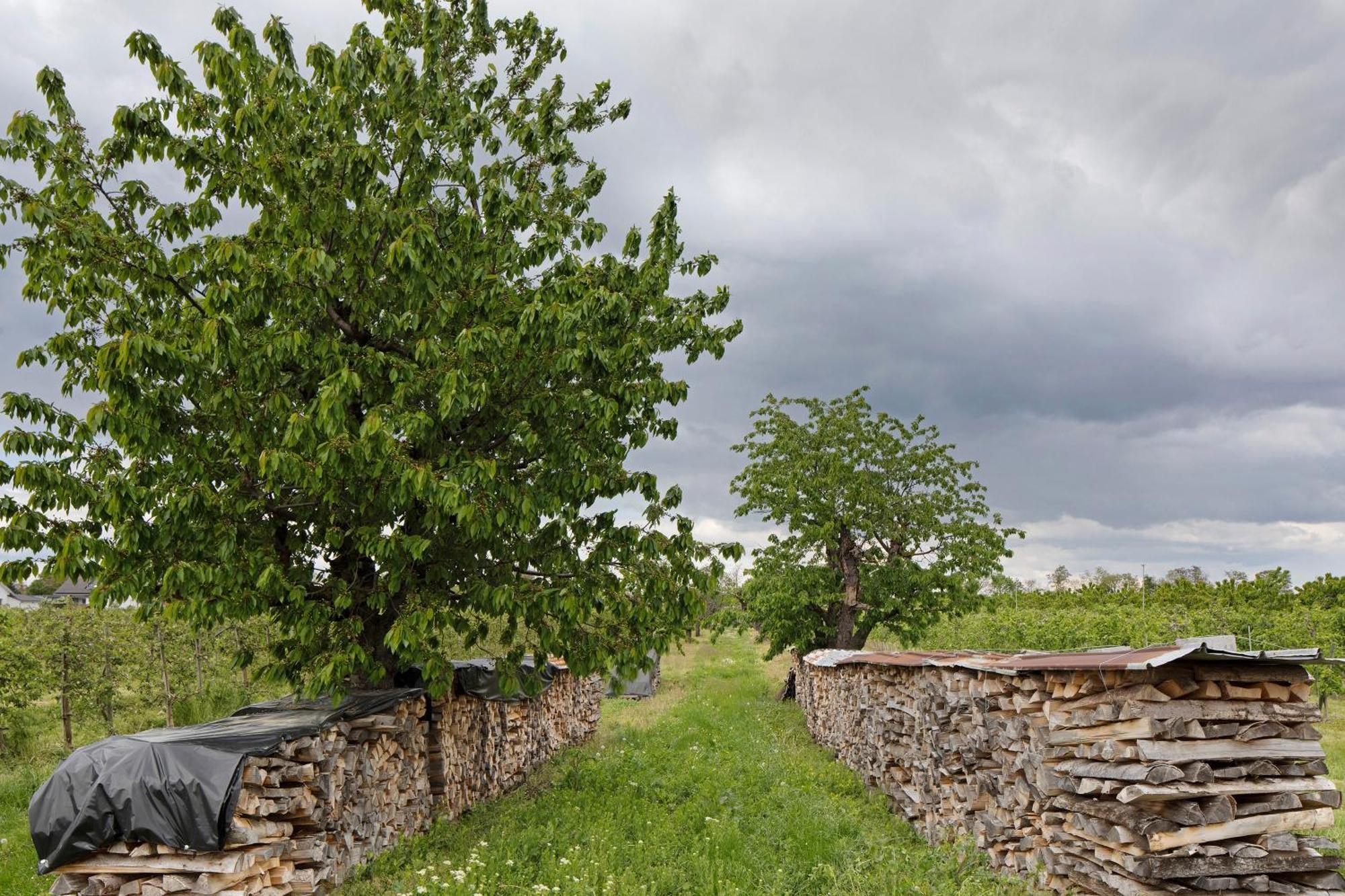 Ferienhof Schloessle Sasbach am Kaiserstuhl Bagian luar foto