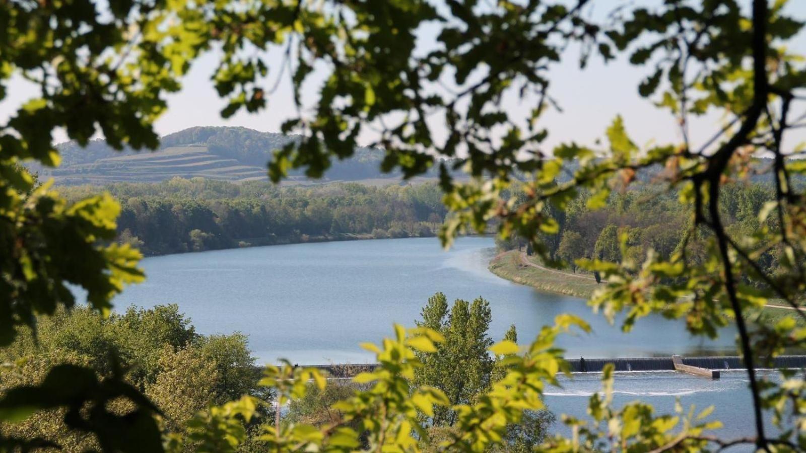 Ferienhof Schloessle Sasbach am Kaiserstuhl Bagian luar foto
