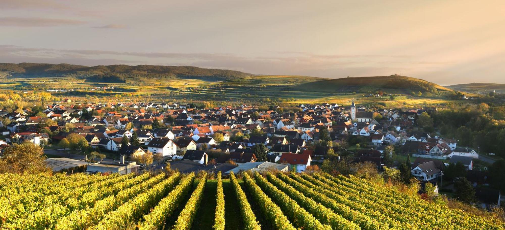 Ferienhof Schloessle Sasbach am Kaiserstuhl Bagian luar foto